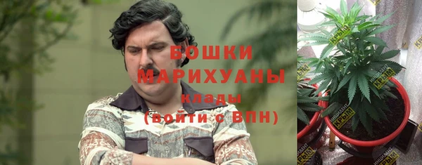 экстази Вяземский